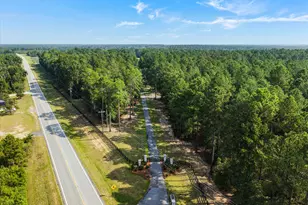 2224 Chainey Briar Rd, Metter, GA 30439 - Photo 118