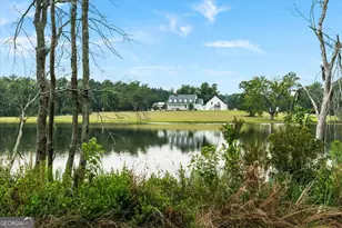 2224 Chainey Briar Rd, Metter, GA 30439 - Photo 40