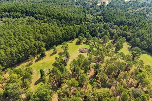 2224 Chainey Briar Rd, Metter, GA 30439 - Photo 46
