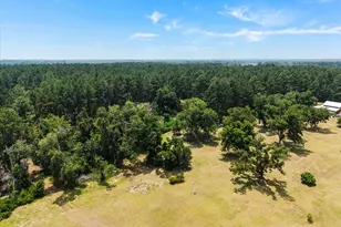 2224 Chainey Briar Rd, Metter, GA 30439 - Photo 24