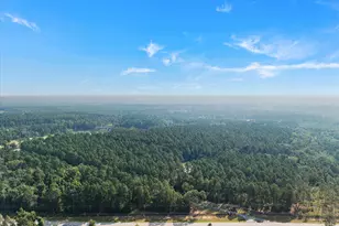 2224 Chainey Briar Rd, Metter, GA 30439 - Photo 120