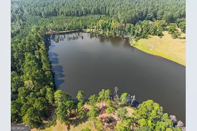 2224 Chainey Briar Rd, Metter, GA 30439 - Photo 50