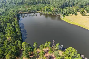2224 Chainey Briar Rd, Metter, GA 30439 - Photo 50