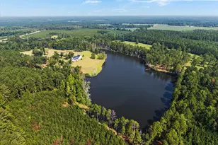 2224 Chainey Briar Rd, Metter, GA 30439 - Photo 52