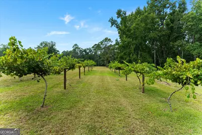 2224 Chainey Briar Rd, Metter, GA 30439 - Photo 36