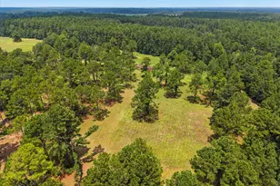 2224 Chainey Briar Rd, Metter, GA 30439 - Photo 26