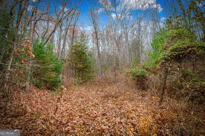 208 Bullen Gap Road, Blue Ridge, GA 30513 - Photo 60