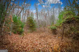 208 Bullen Gap Rd, Blue Ridge, GA 30513 - Photo 60