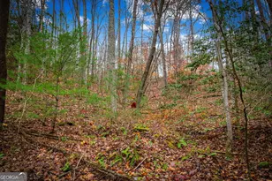 208 Bullen Gap Rd, Blue Ridge, GA 30513 - Photo 68