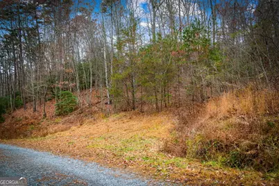 5.97Ac Bullen Gap Road, Blue Ridge, GA 30513 - Photo 8