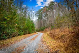5 97Ac Bullen Gap Rd, Blue Ridge, GA 30513 - Photo 1