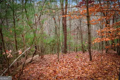 5.97Ac Bullen Gap Road, Blue Ridge, GA 30513 - Photo 22