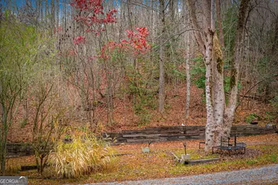 5.97Ac Bullen Gap Road, Blue Ridge, GA 30513 - Photo 18