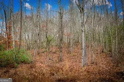 5.97Ac Bullen Gap Road, Blue Ridge, GA 30513 - Photo 24