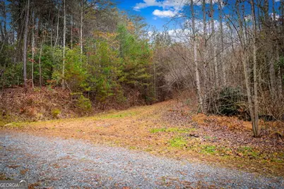 5.97Ac Bullen Gap Road, Blue Ridge, GA 30513 - Photo 16