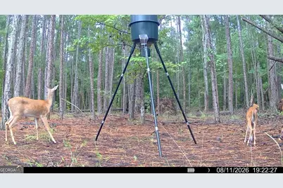 0 Fountain Road, Eastman, GA 31023 - Photo 2