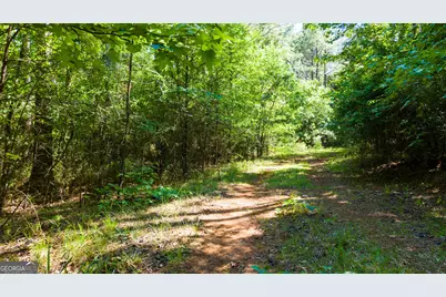 0 Calhoun Falls Highway, Elberton, GA 30635 - Photo 10