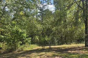 119 Bagley Rd, Forsyth, GA 31029 - Photo 22