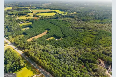 0 Hwy 67, Pembroke, GA 31321 - Photo 10