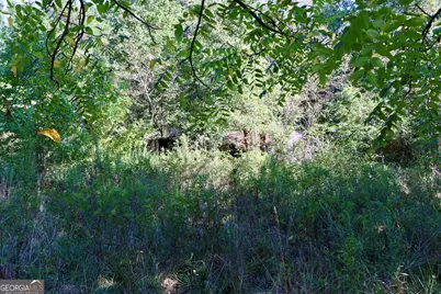 11334 Highway 337, Summerville, GA 30747 - Photo 24