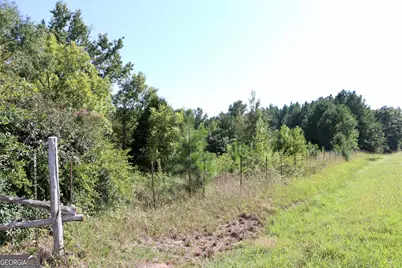 11334 Highway 337, Summerville, GA 30747 - Photo 6