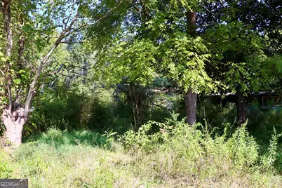 11334 Highway 337, Summerville, GA 30747 - Photo 18