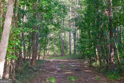 1362 Doyle Road, Sardis, GA 30456 - Photo 22