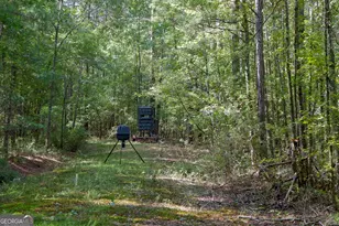 1362 Doyle Rd, Sardis, GA 30456 - Photo 38