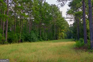 1362 Doyle Rd, Sardis, GA 30456 - Photo 20