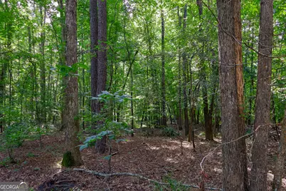 1362 Doyle Road, Sardis, GA 30456 - Photo 30