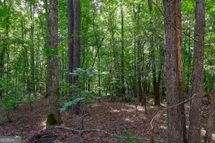 1362 Doyle Rd, Sardis, GA 30456 - Photo 30