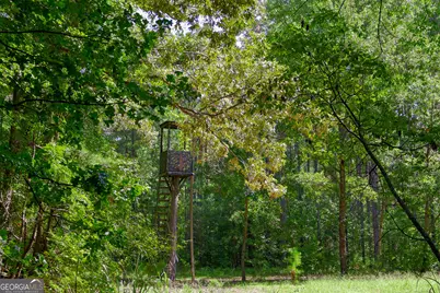 1362 Doyle Road, Sardis, GA 30456 - Photo 6