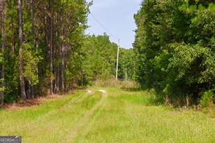 1362 Doyle Rd, Sardis, GA 30456 - Photo 44