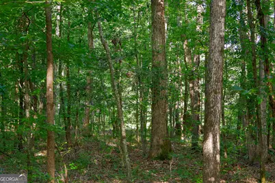 1362 Doyle Road, Sardis, GA 30456 - Photo 26