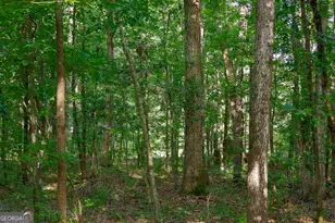 1362 Doyle Rd, Sardis, GA 30456 - Photo 26