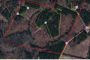 1362 Doyle Rd, Sardis, GA 30456 - Photo 10