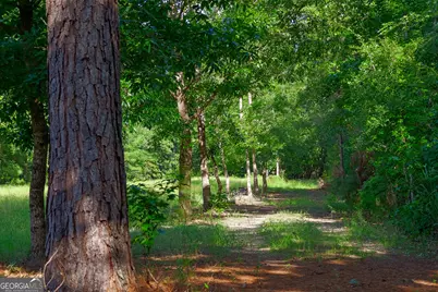 1362 Doyle Road, Sardis, GA 30456 - Photo 8