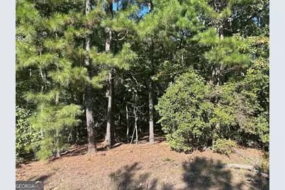 0 Springer Road, Whitesburg, GA 30185 - Photo 2