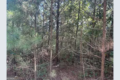 0 Springer Road, Whitesburg, GA 30185 - Photo 4