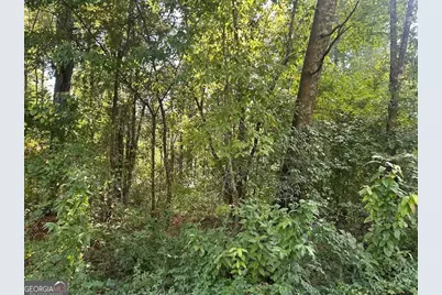 0 Springer Road, Whitesburg, GA 30185 - Photo 10