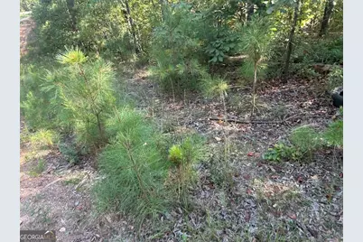 0 Springer Road, Whitesburg, GA 30185 - Photo 6