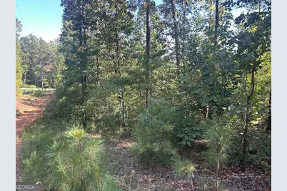 0 Springer Road, Whitesburg, GA 30185 - Photo 12
