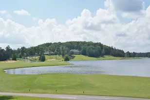 1020 Patina Point, Peachtree City, GA 30269 - Photo 86