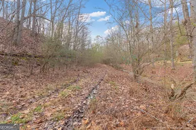 13 Acres Percheron Drive, Dalton, GA 30720 - Photo 16