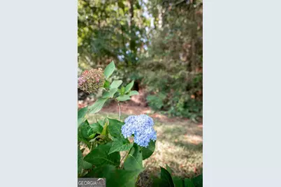 121 Summerplace Drive, Winterville, GA 30683 - Photo 20