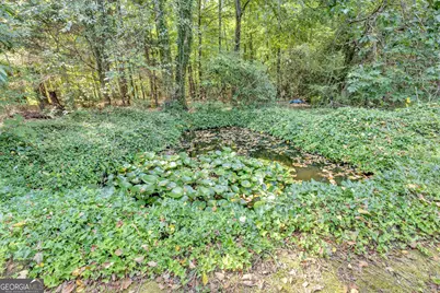 29 Bluejay Court, Monticello, GA 31064 - Photo 48
