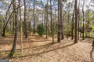 100 Trillium Terrace, Macon, GA 31210 - Photo 60