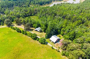 360 Parks Rd, Butler, GA 31006 - Photo 102