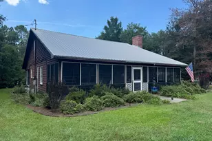 360 Parks Rd, Butler, GA 31006 - Photo 1