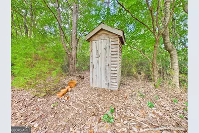 360 Parks Road, Butler, GA 31006 - Photo 76